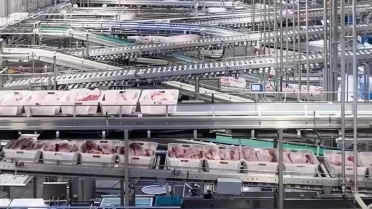 【計出新角度】豬肉產業 