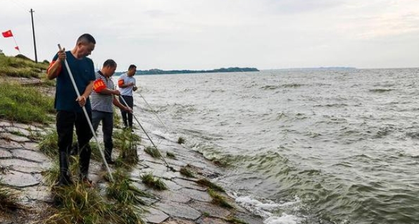 中國最大淡水湖鄱陽湖水位超警戒 