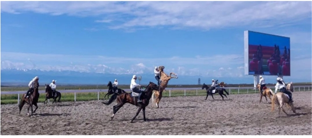 新疆野馬集團10匹汗血寶精彩亮相第十二屆全國少數民族傳統體育運動會賽場