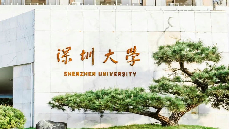 深圳大學2024年廣東投檔線公布