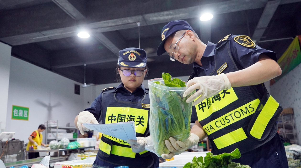 全國首創！ 拱北海關實施供澳蔬菜監管新模式