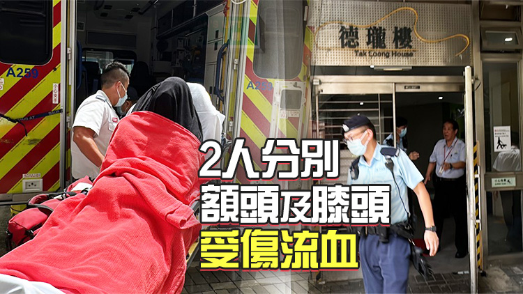 啟德德朗邨姊妹因家私擺放大打出手 2人被捕送院治理