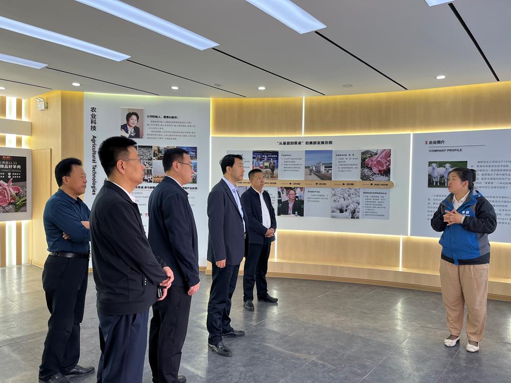 甘肅慶陽：緊盯數據要素× 四招推進數字招商