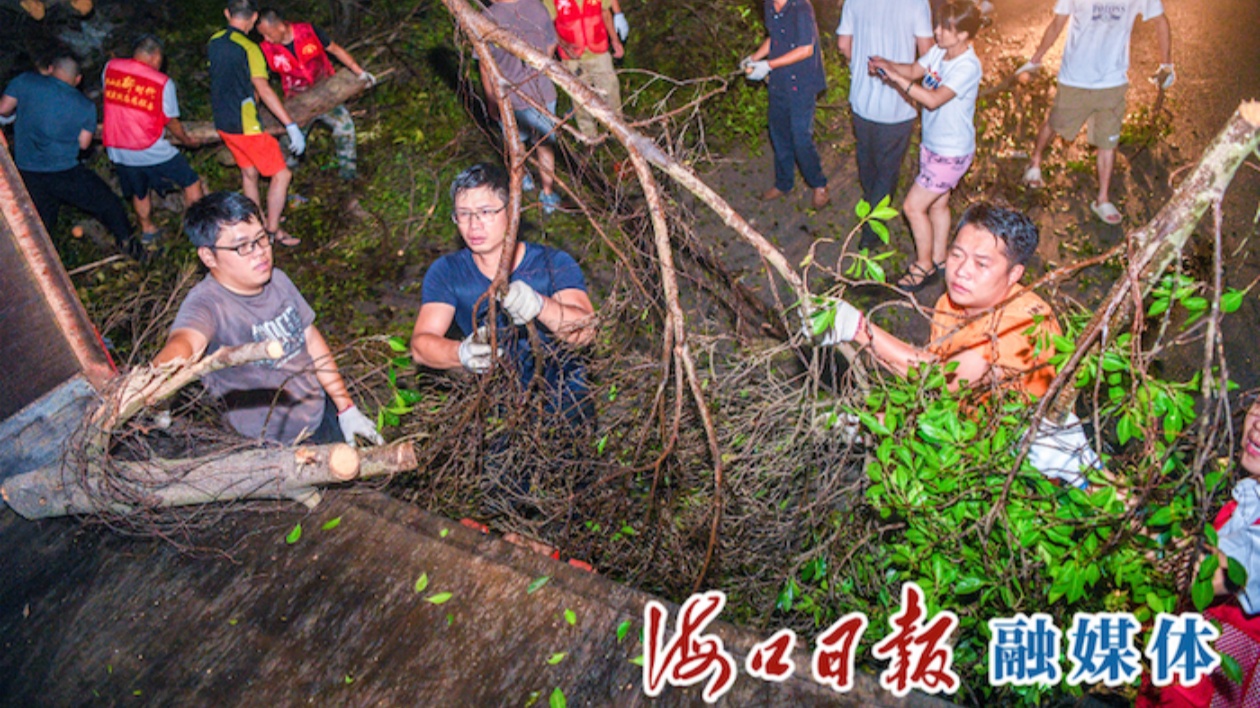 晝夜奔忙，潔淨海口！四萬多名幹部繼續下沉一線進行城市大掃除