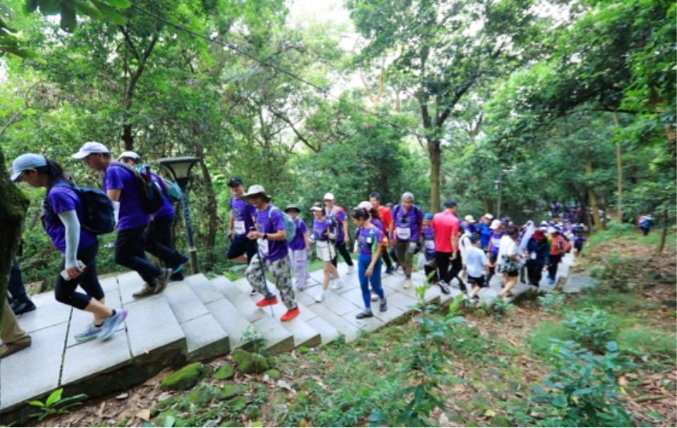 港深300名山友徒步穿越鯤鵬徑