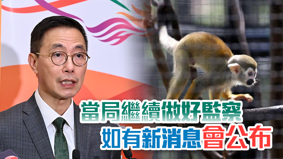 李家超：文體旅局局長處理動物死亡事件應變快 符合不同領域要求