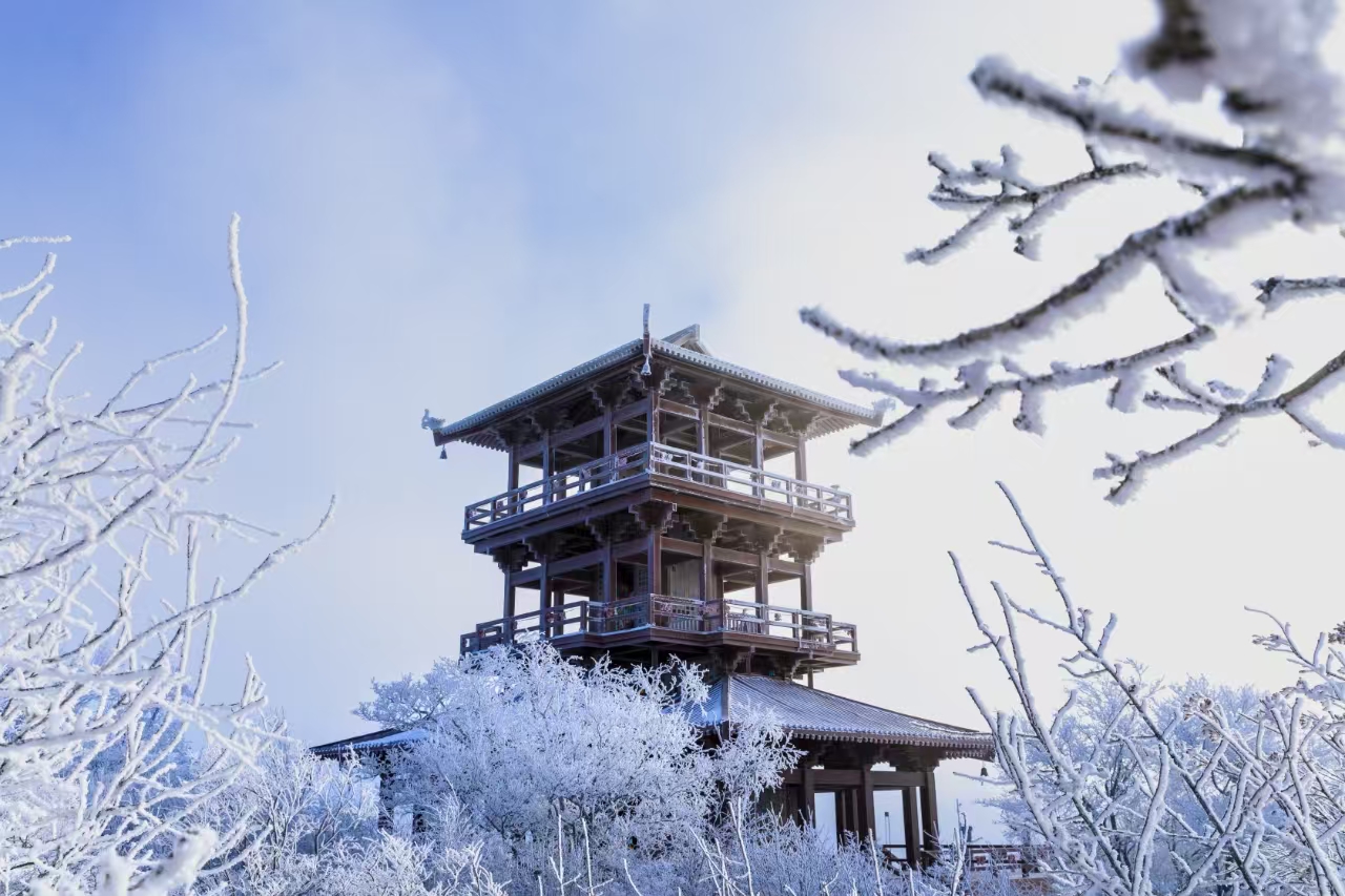 有片丨雪潤大頂子山 層林盡染美如畫