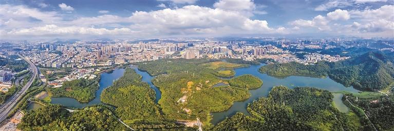 深圳龍崗平湖獲評「五星街道」 造營商「沃土」 育千億「樹苗」