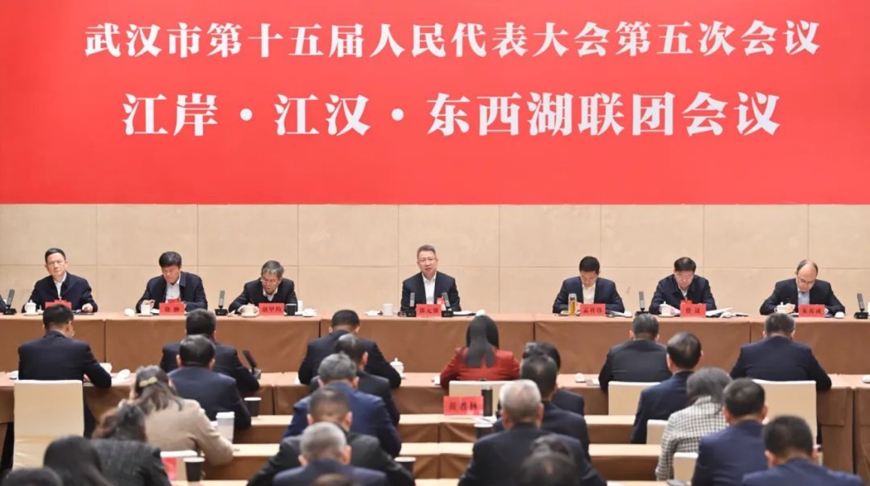 郭元強參加江岸江漢東西湖代表團聯團審議