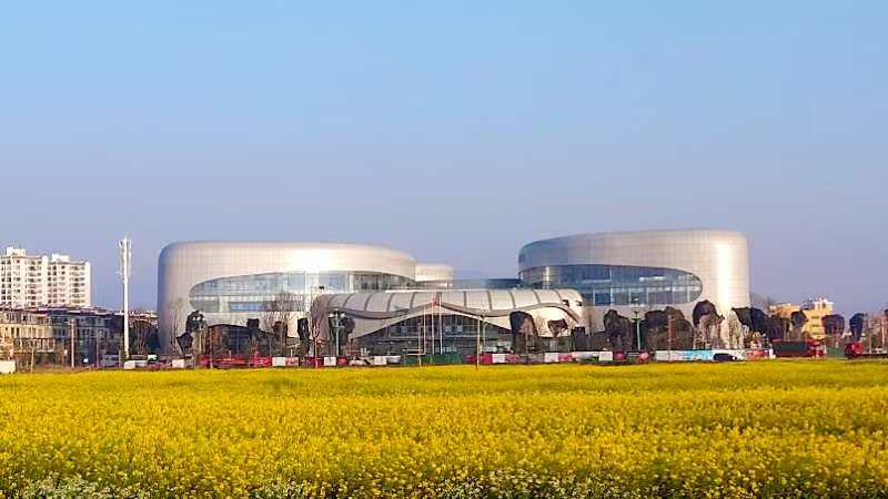 雲南姚安：林下花卉產業綻放「美麗經濟」助力鄉村振興