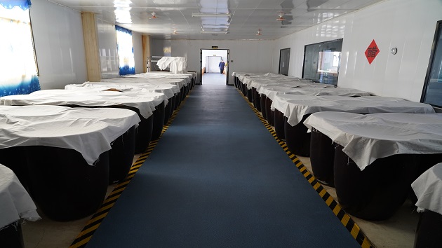 靜寧：鄉村加工車間助力特色產業發展