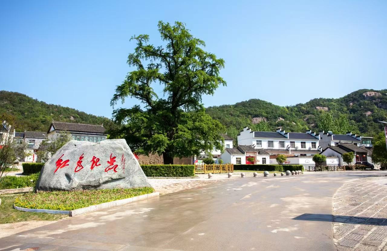 有片丨【行走信陽·解碼文旅新勢能】羅山縣何家沖：構建紅綠融合的「青春方案」