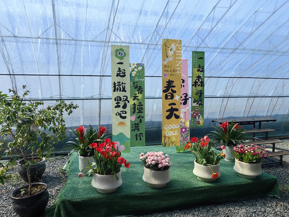 「花經濟」綻放「紅動能」 瀋北新區解鎖鄉村振興新姿勢