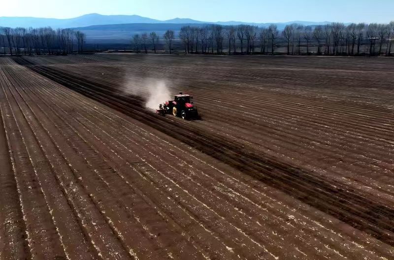黑龍江雙鴨山：墾地合作攜手發力讓土地「生金產銀」