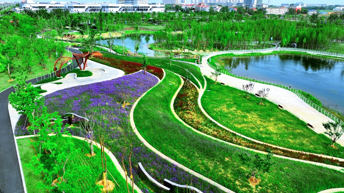 佔地4300畝！孝感最大城市公園正式開園