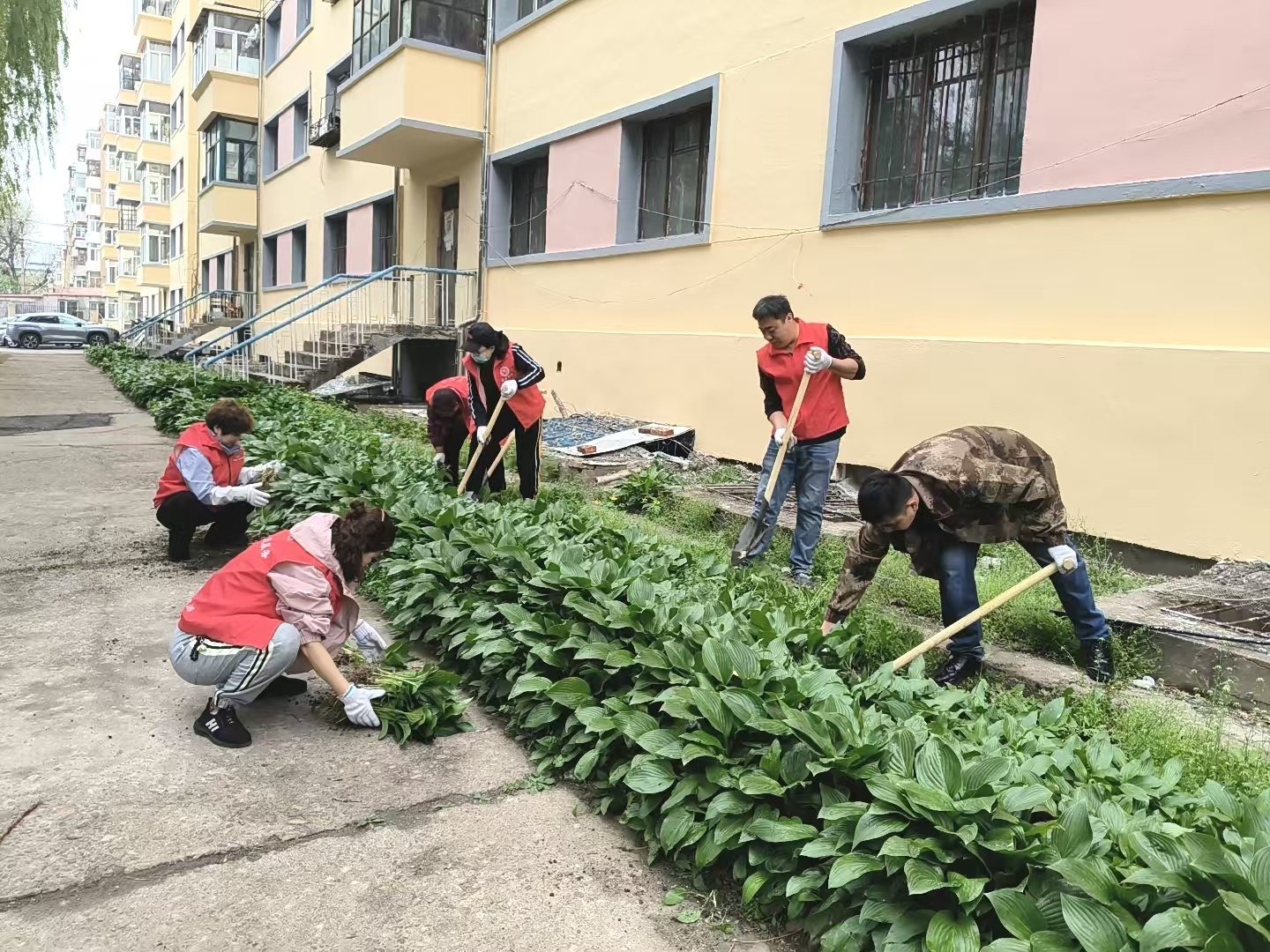 哈市香坊區理東社區：黨群聯動種花添綠 繪就和美家園新畫卷