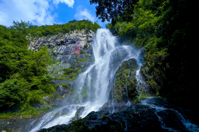 六十載攜手風雨兼程  贛粵港共同守護一泓清水