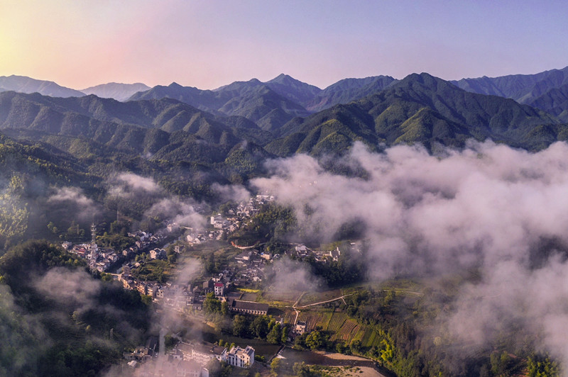 皖休寧汪村鎮：黨建引領聚合力全面振興繪新卷