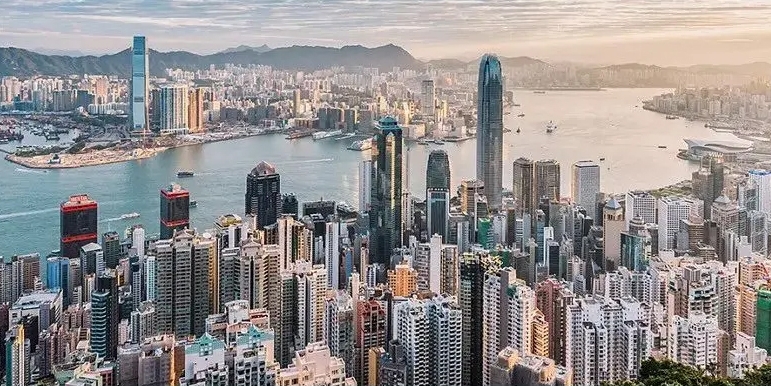 【參政議政】堅守人才計劃公信力 嚴打不法中介