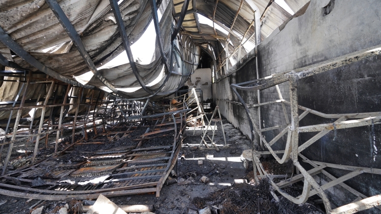 多國駐柬武官視察柬泰邊境衝突後局勢