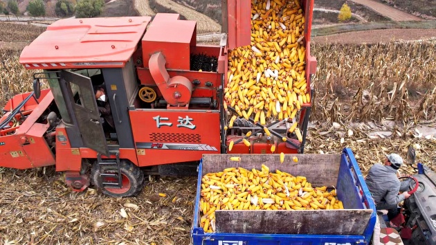 機械人工齊上陣 甘肅靜寧「保姆式」託管服務助豐收