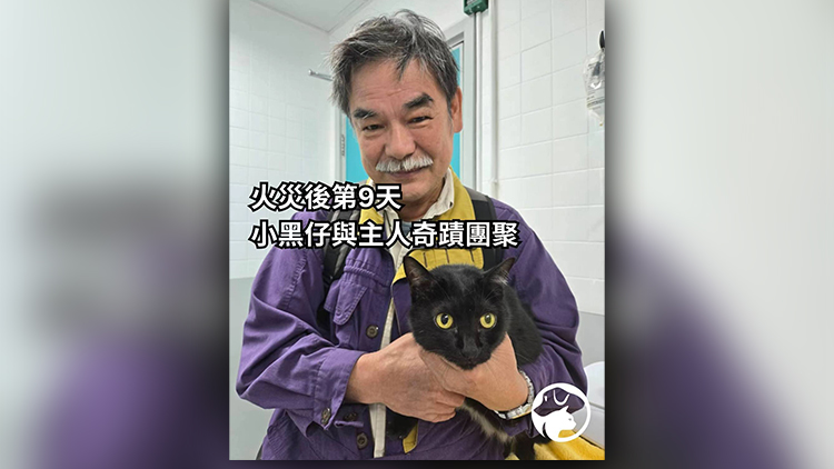 宏福苑大火｜愛協：至今仍有84隻已登記動物失蹤