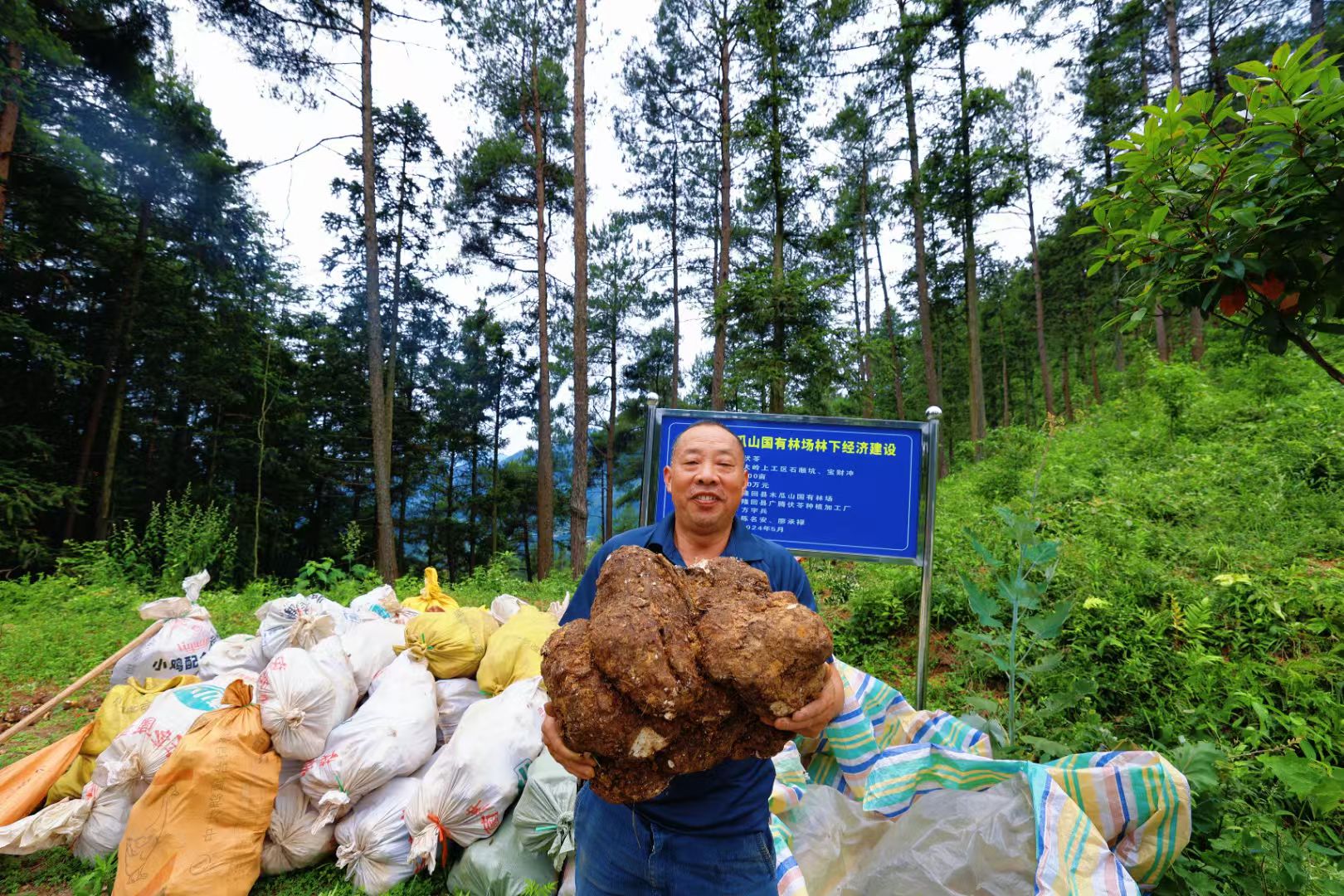 隆回：「林改」繪就「綠富同興」新畫卷