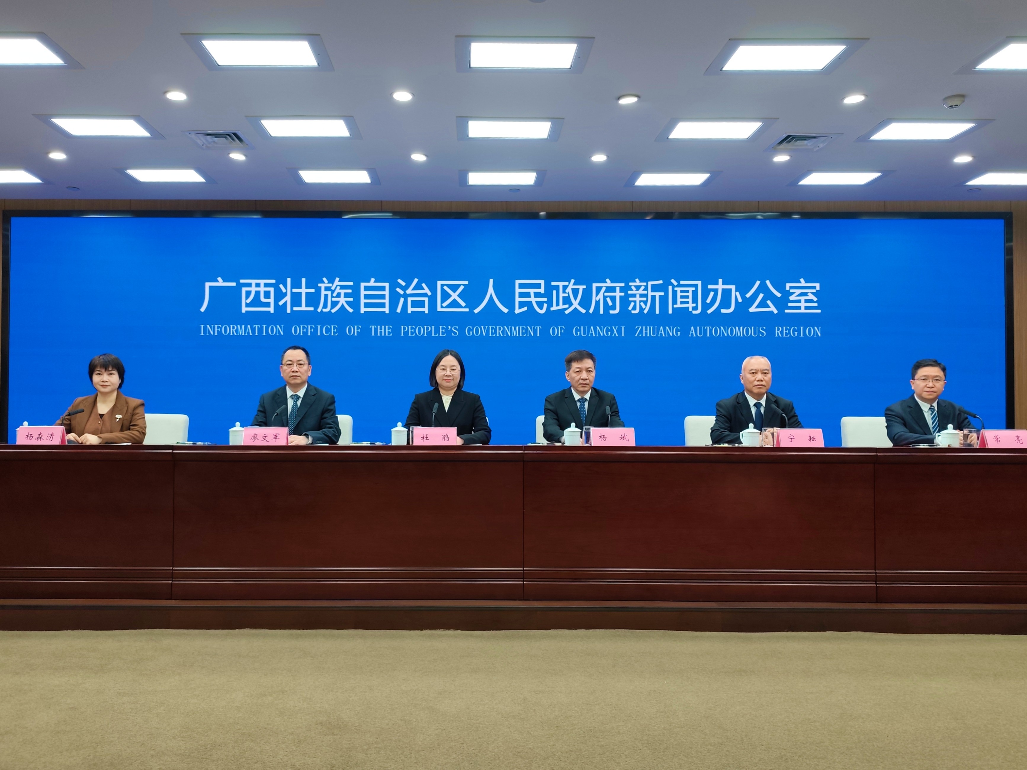 廣西健全黨管政法制度  推動平安廣西建設