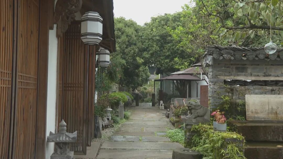 從「零散發展」向「品牌集聚」 皖屯溪民宿「破圈」鄉村「出彩」