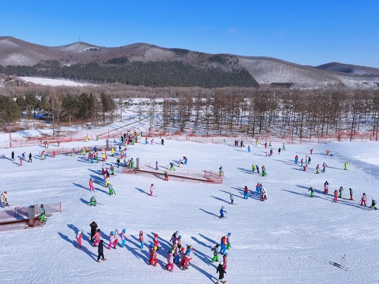 黑龍江寶清：搖籃山開板 「滑雪小鎮」激情綻放