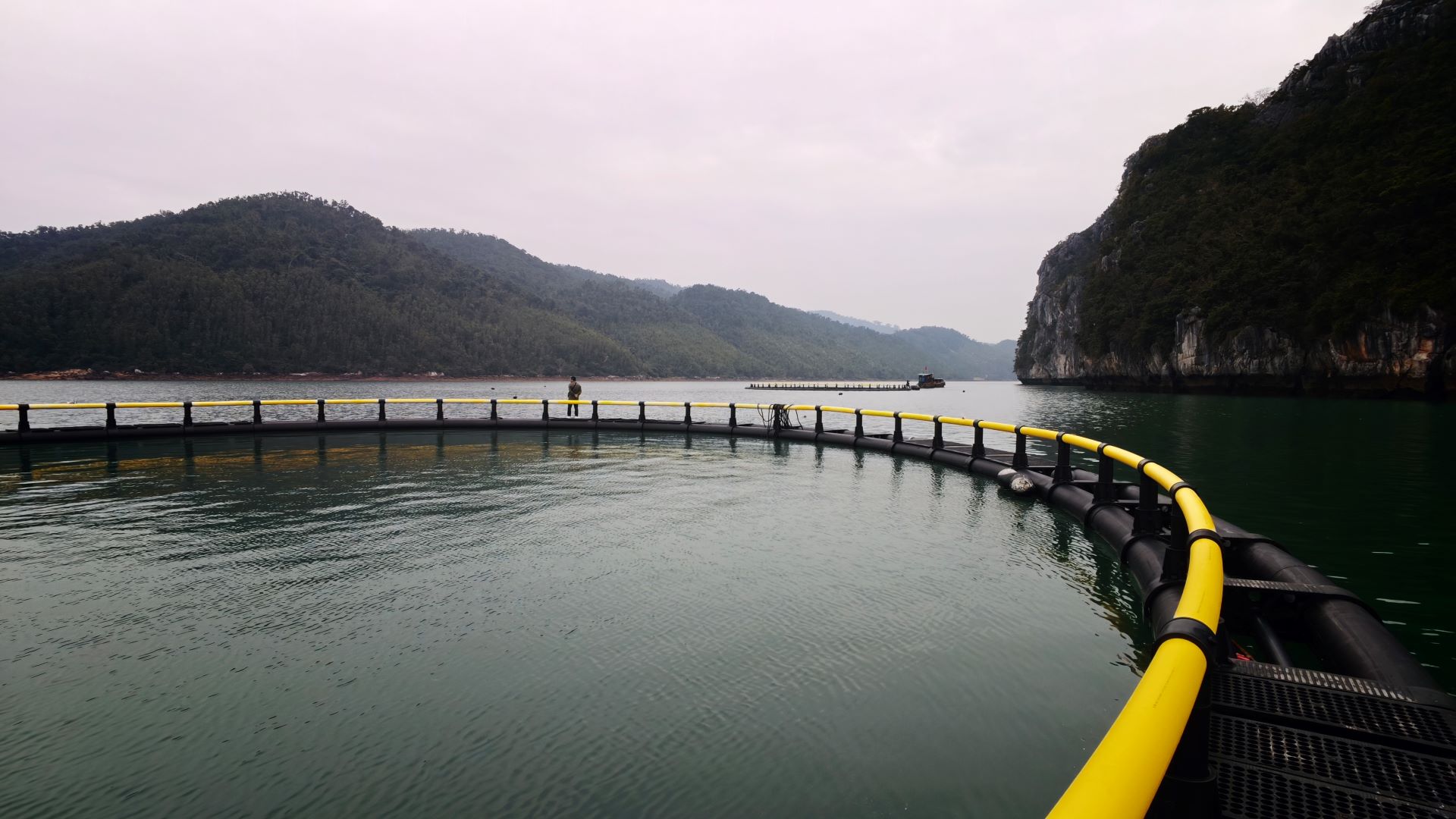 桂越漁業合作提「智」向「新」