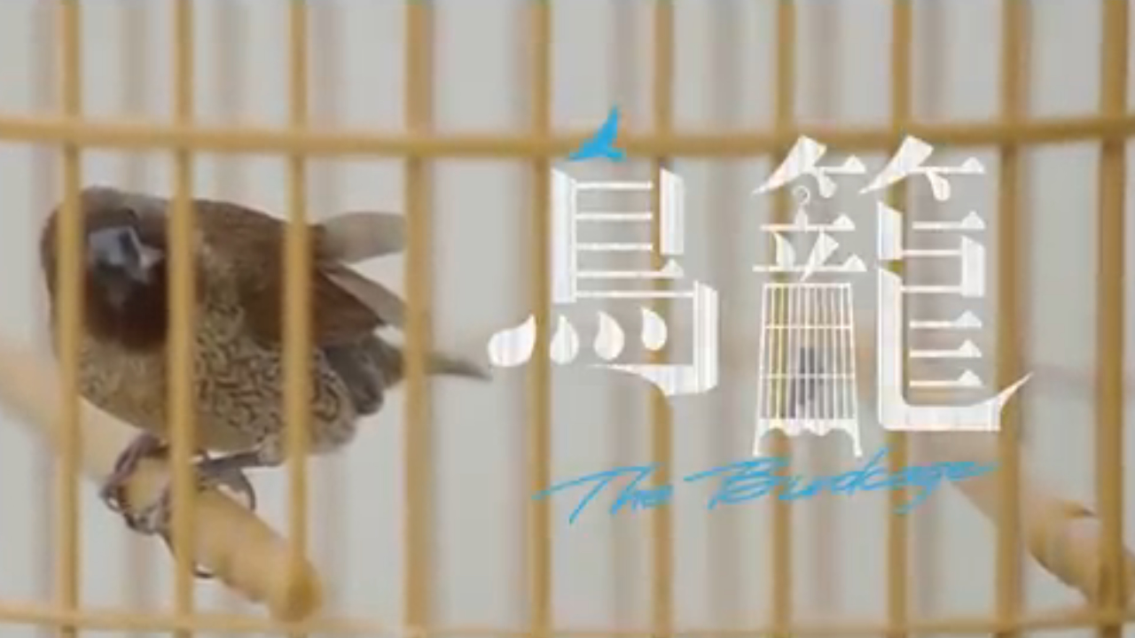 有片丨【黎智英案判決】網絡短劇揭「鳥籠」內的編採自主