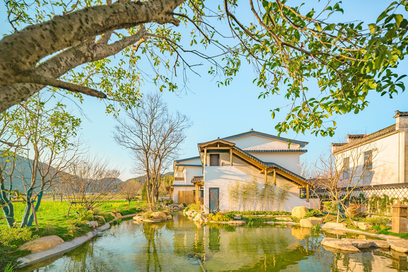 皖黟縣碧陽鎮：農場裡「長出」悠然旅居