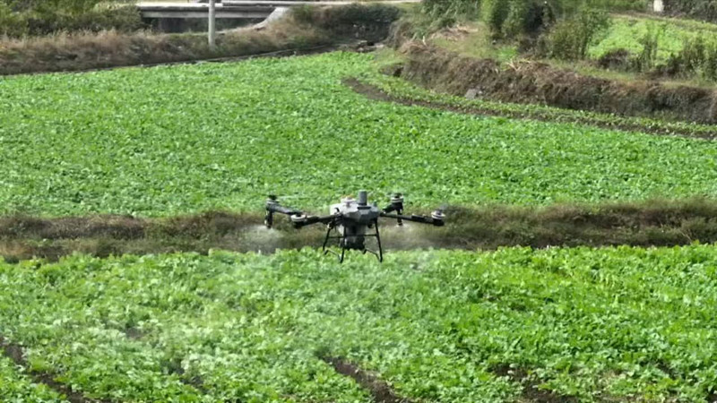 皖黟縣：五年深耕「農」情四射 振興之路更見風光