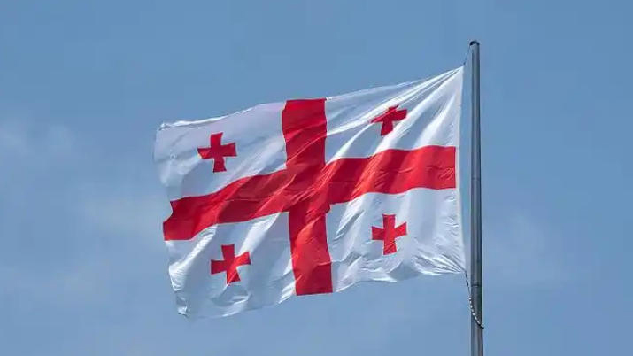 格魯吉亞前國防部長因涉嫌組織策劃政變被逮捕