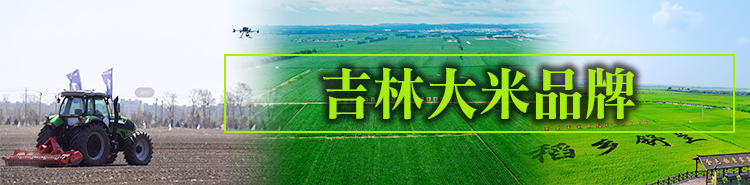 吉林大米品牌