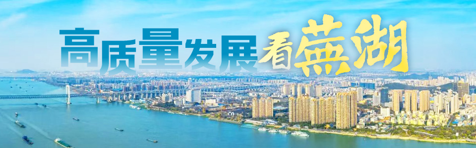 高質量發展看蕪湖