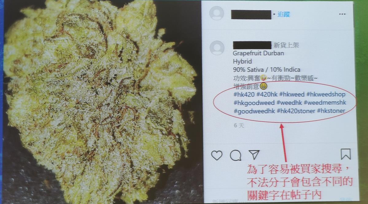 疫情下網上販賣大麻激增警方拘41名男女5人未成年 香港商報